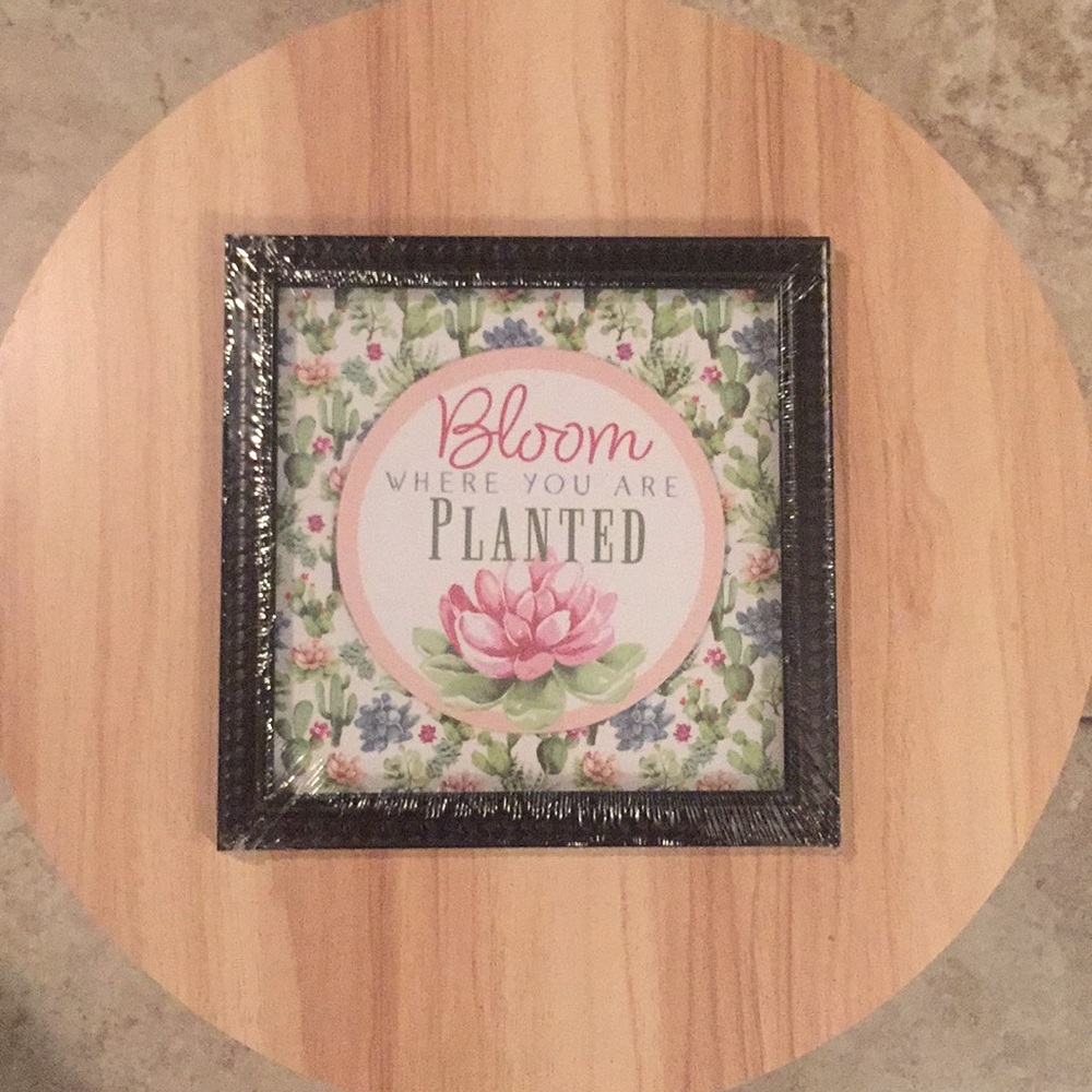 NWT Framed Art Bloom Where You Are Planted Flower